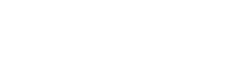 Cybriz Enterprise Software Logo